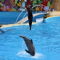 Marineland - Dauphins - 084